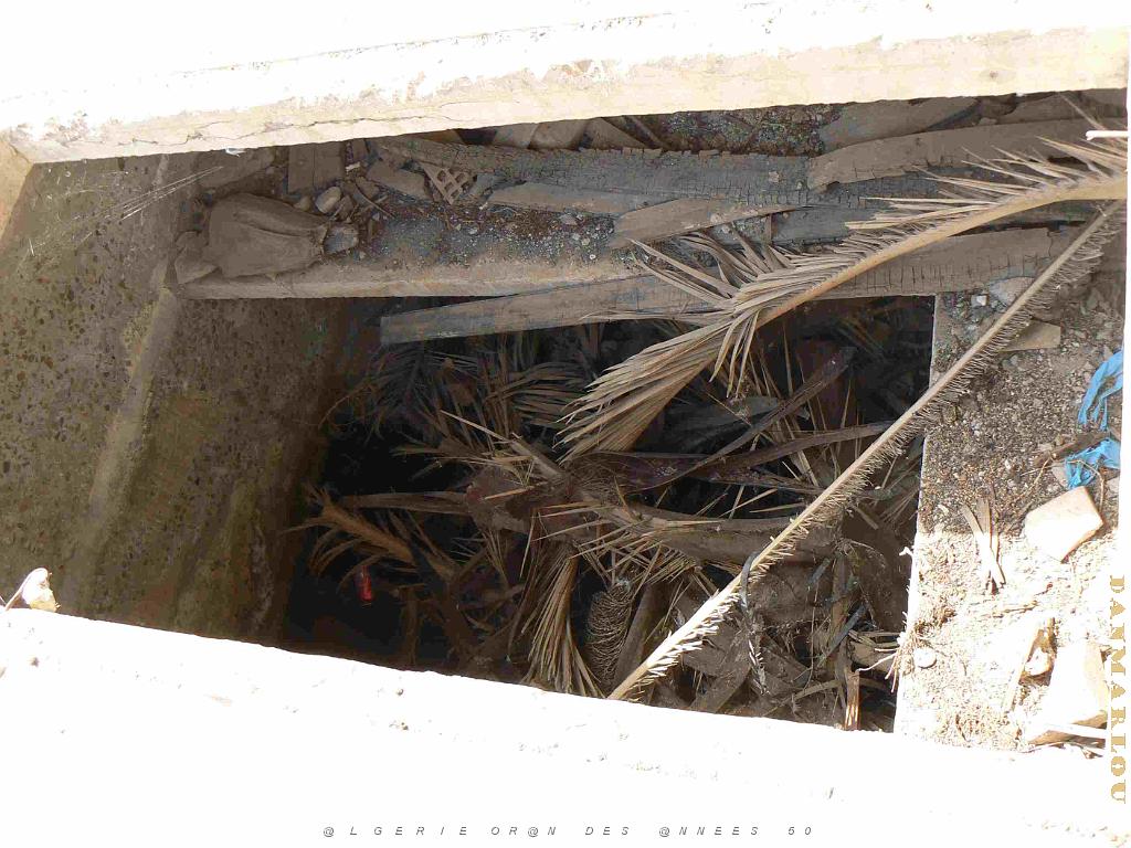 RELIZANE 2009 le cimetiere  (17).jpg